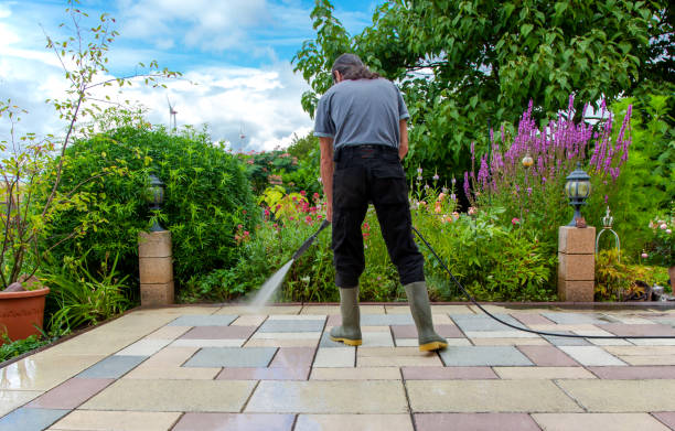 Best Animal Enclosure Cleaning  in Tichigan, WI